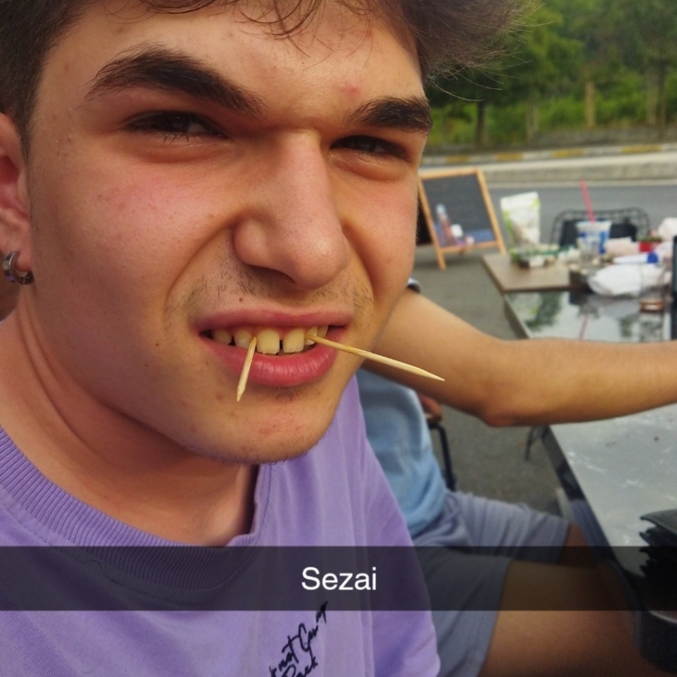 bigdickaltay